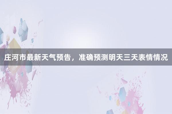 庄河市最新天气预告，准确预测明天三天表情情况